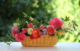 Цветы в корзине живые – секрет непроходящей популярности