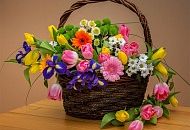 Букет цветов в корзиночке: как ухаживать, чтобы он стоял долго