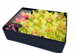 Цветы в коробке: орхидея станет незабываемым подарком 
