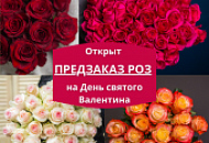 Открыт предзаказ на розы ко Дню святого Валентина! 