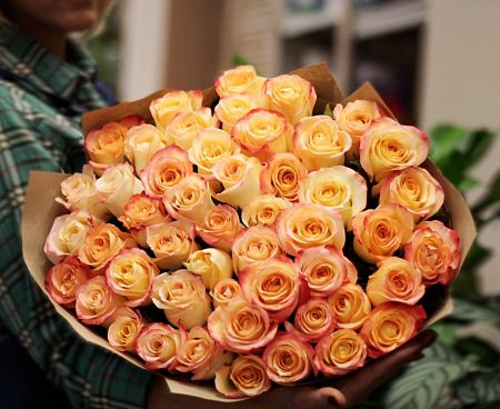51 кремово-розовая роза Кабарет