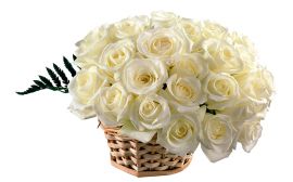 Розы белые в корзине для свадьбы