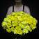  Охапка  желтых хризантем
