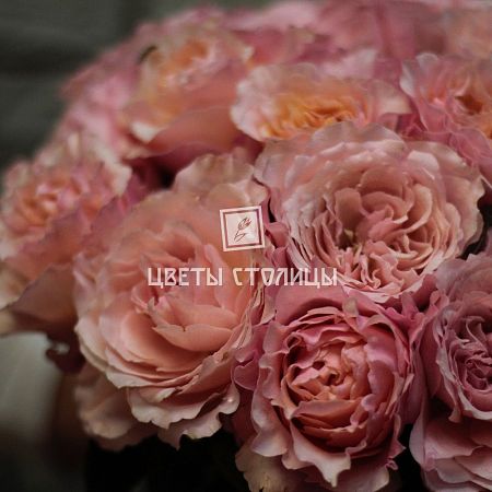 Букет Розово персиковых пионовидных роз