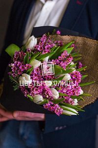 Букет тюльпанов с хамелациумом 
