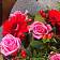 Букет с розовыми розами и герберой