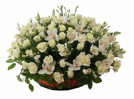Корзина с 101 белой розой и орхидеями